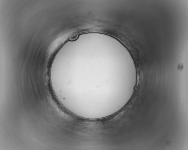 X0000112860245200909111516