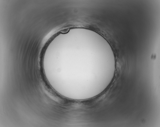 X0000112860246200909111516