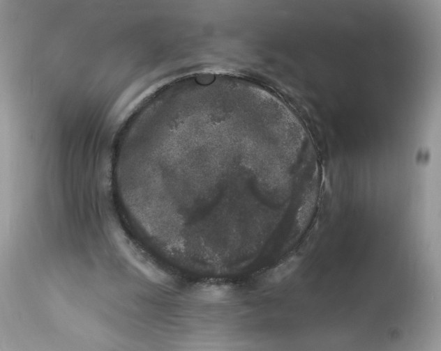 X0000112860247200909111516