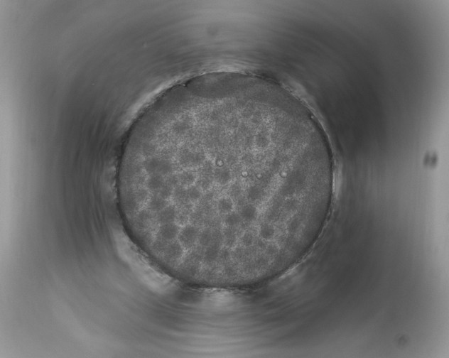 X0000112860249200909111516