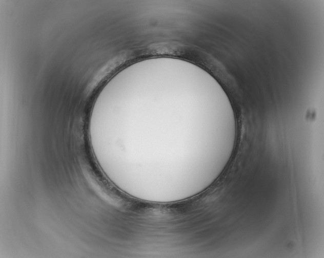 X0000112860250200909111516