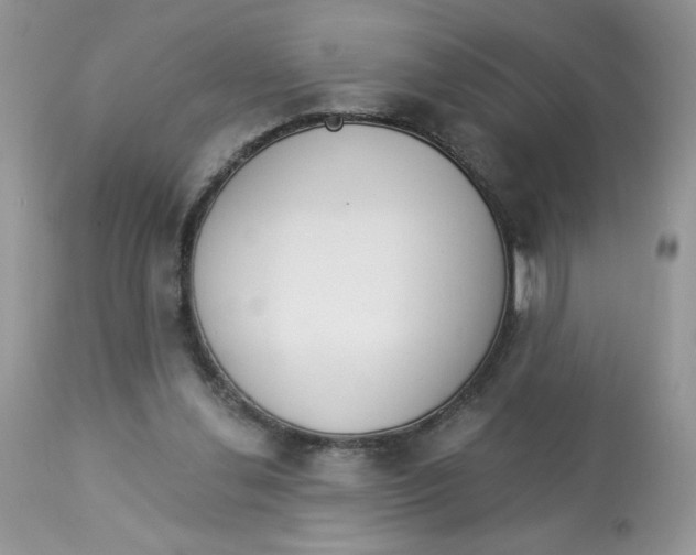 X0000112860252200909111516