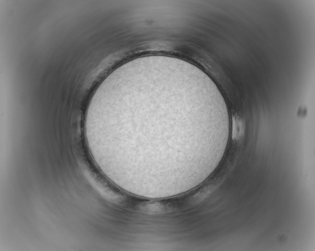 X0000112860253200909111516