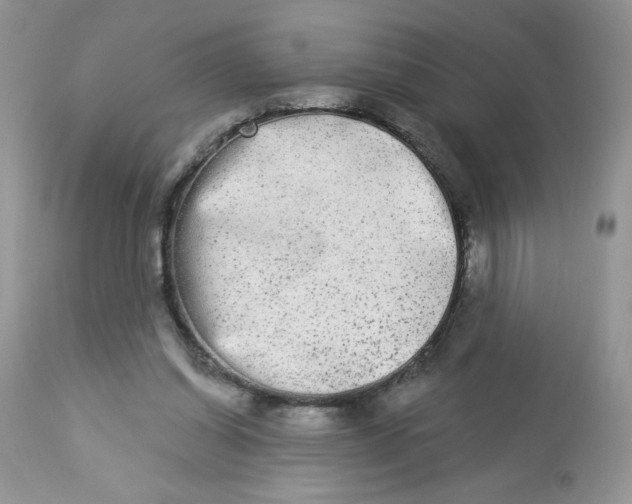 X0000112860254200909111516