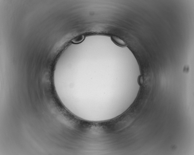 X0000112860256200909111516