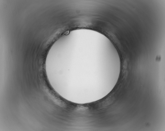 X0000112860257200909111516