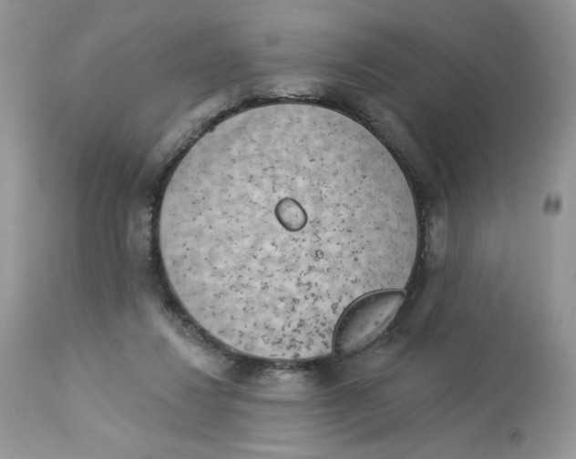 X0000112860260200909111516