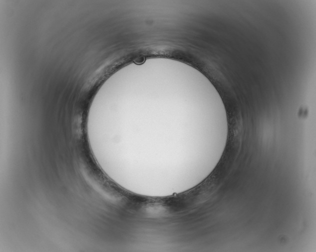 X0000112860262200909111516