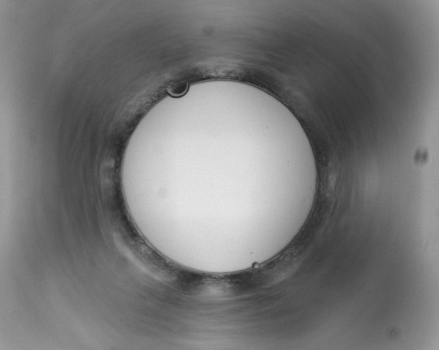 X0000112860263200909111516