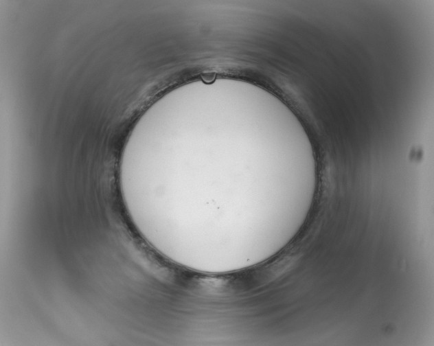 X0000112860265200909111516