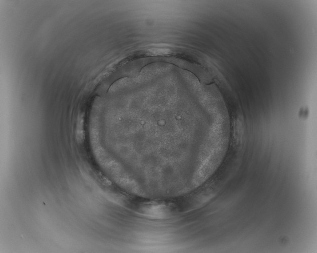 X0000112860267200909111516