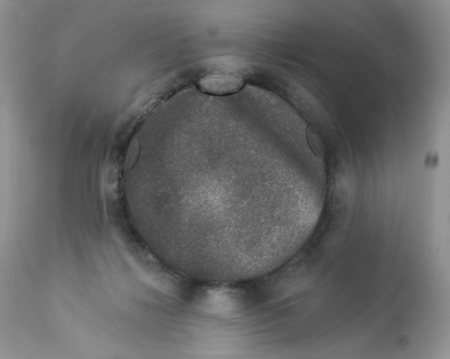 X0000112860268200909111516