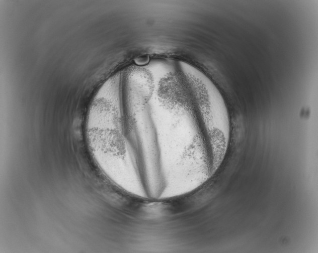 X0000112860269200909111516