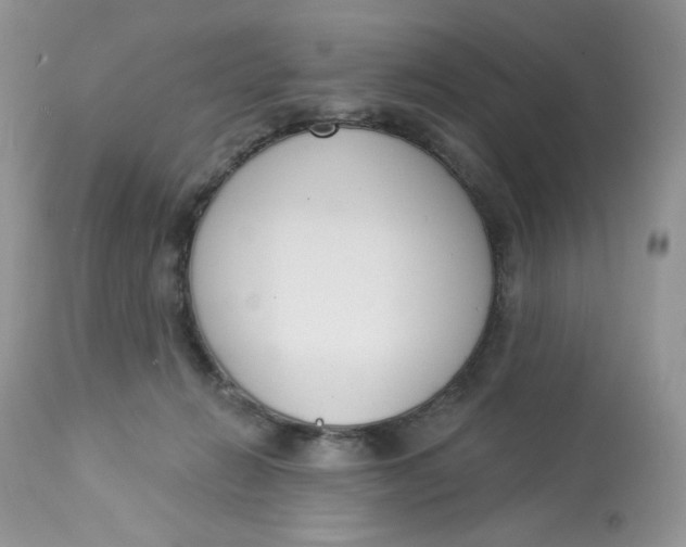 X0000112860270200909111516