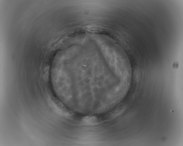 X0000112860271200909111516