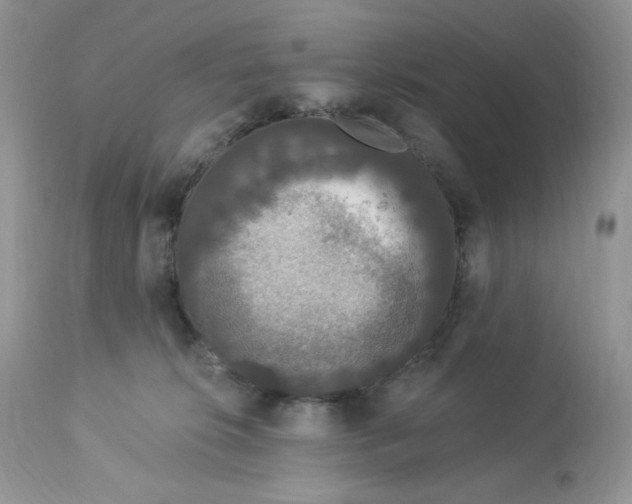 X0000112860276200909111516