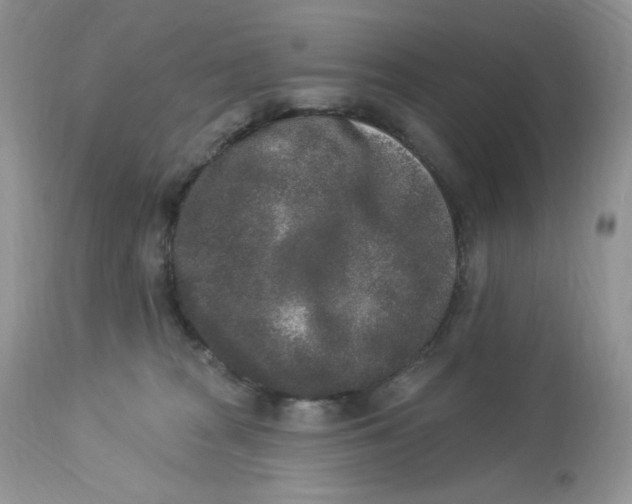 X0000112860277200909111516