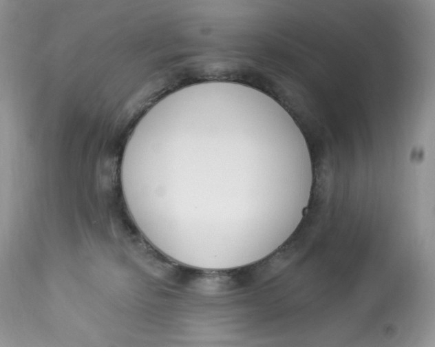 X0000112860278200909111516