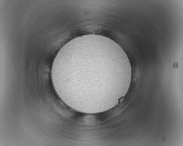 X0000112860279200909111516