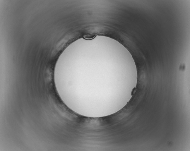 X0000112860282200909111516