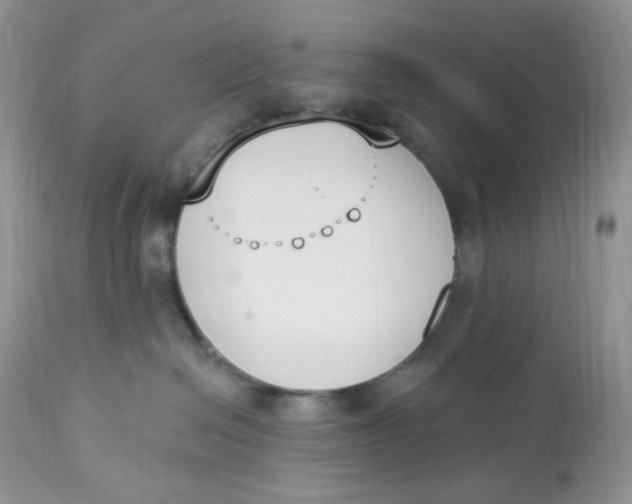 X0000112860286200909111516