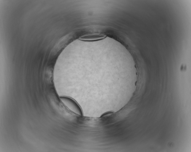 X0000112860288200909111516