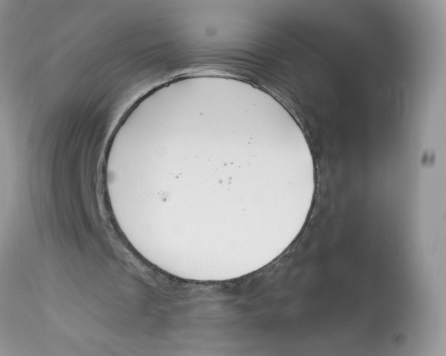 X0000112860289200909111516