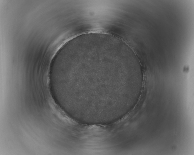 X0000112860290200909111515