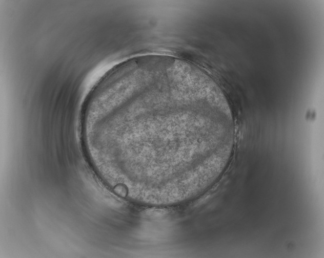 X0000112860294200909111515