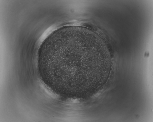 X0000112860295200909111515