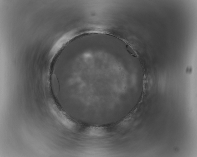 X0000112860296200909111515