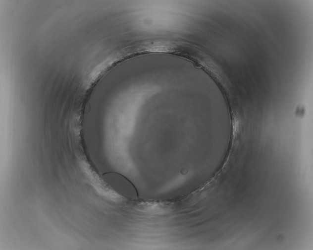 X0000112860297200909111515