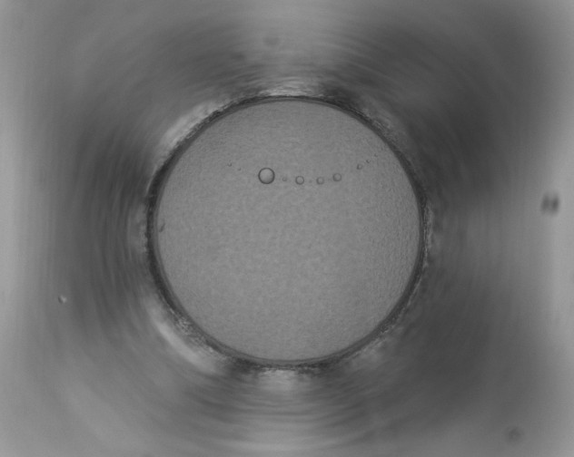 X0000112860298200909111515