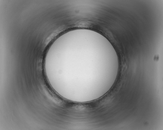 X0000112860299200909111515