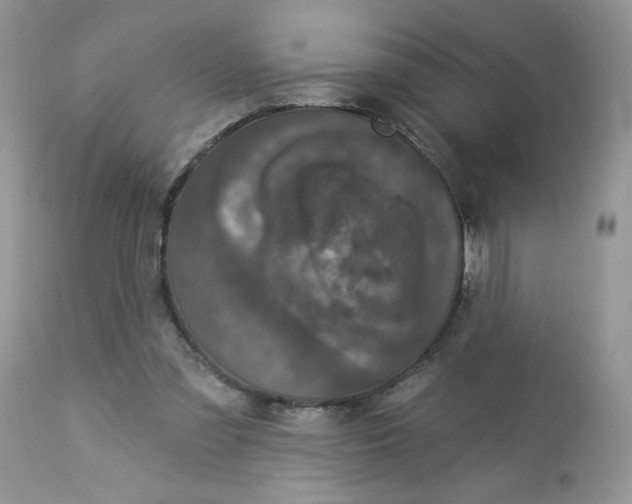 X0000112860301200909111515