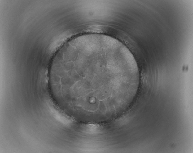 X0000112860302200909111515