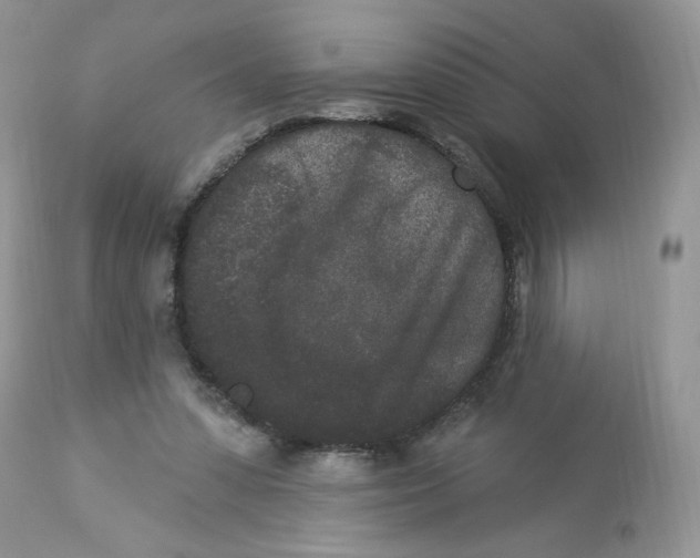 X0000112860303200909111515