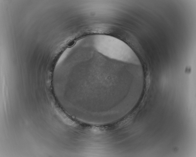 X0000112860305200909111515