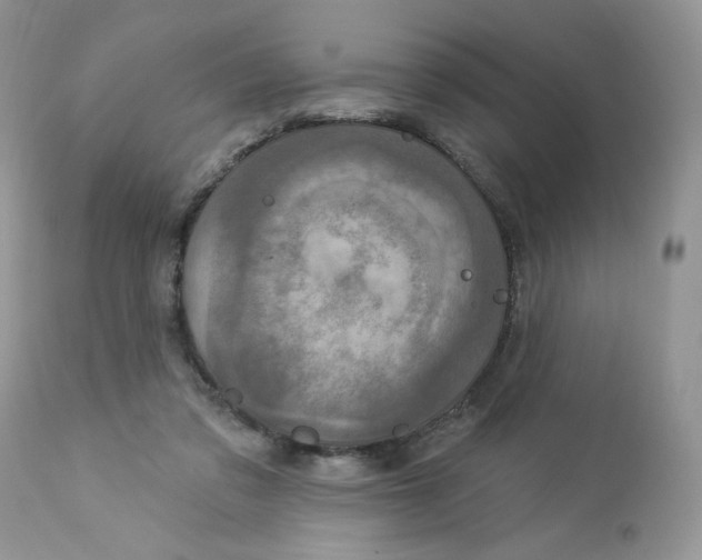 X0000112860309200909111515