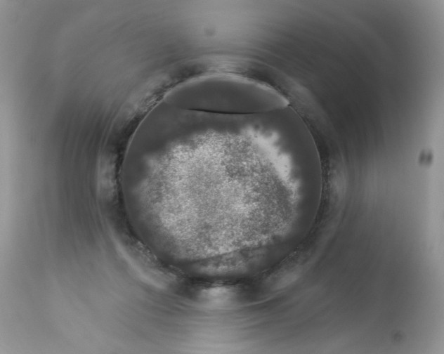 X0000112860312200909111515