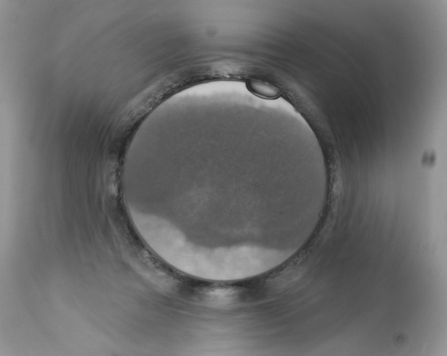 X0000112860313200909111515