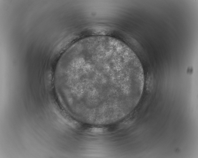 X0000112860314200909111515