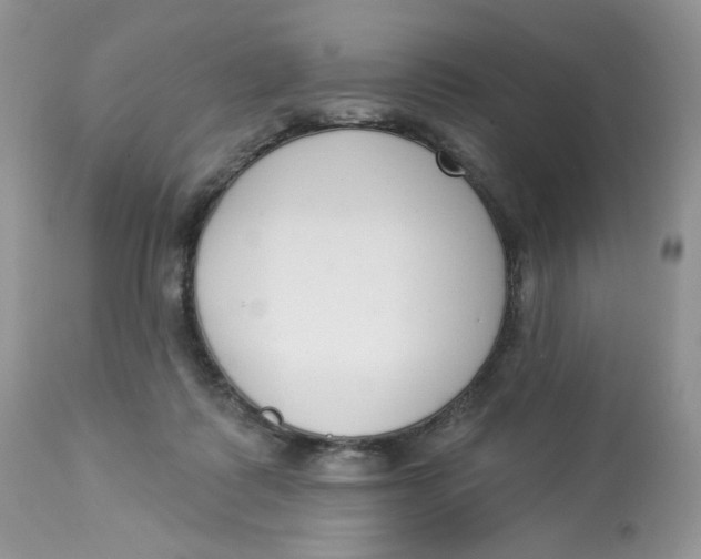 X0000112860315200909111515