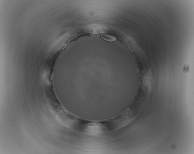 X0000112860316200909111515