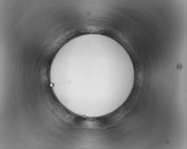 X0000112860317200909111515