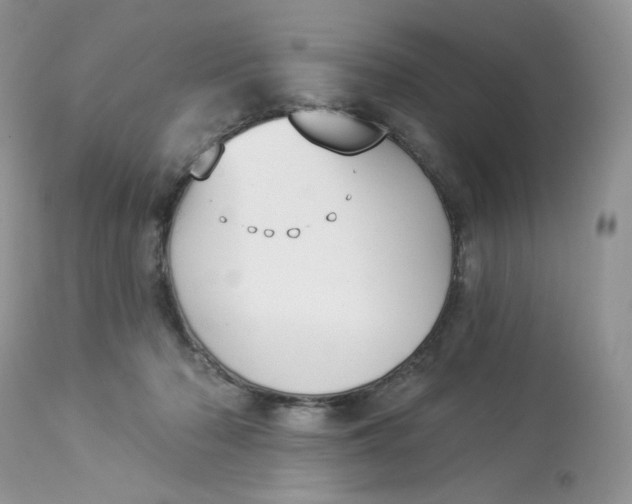 X0000112860318200909111515