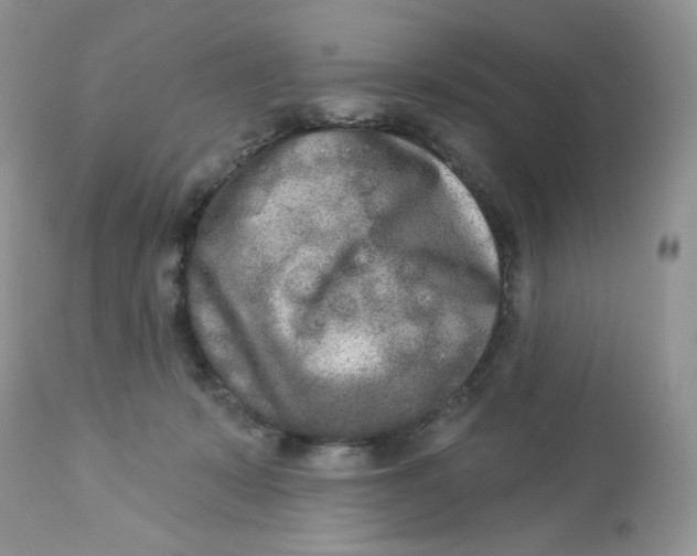 X0000112860319200909111515