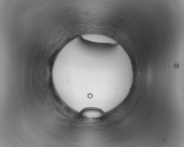 X0000112860320200909111515