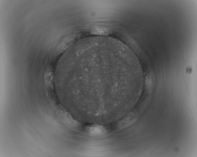 X0000112860322200909111515