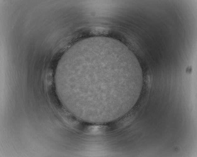 X0000112860323200909111515